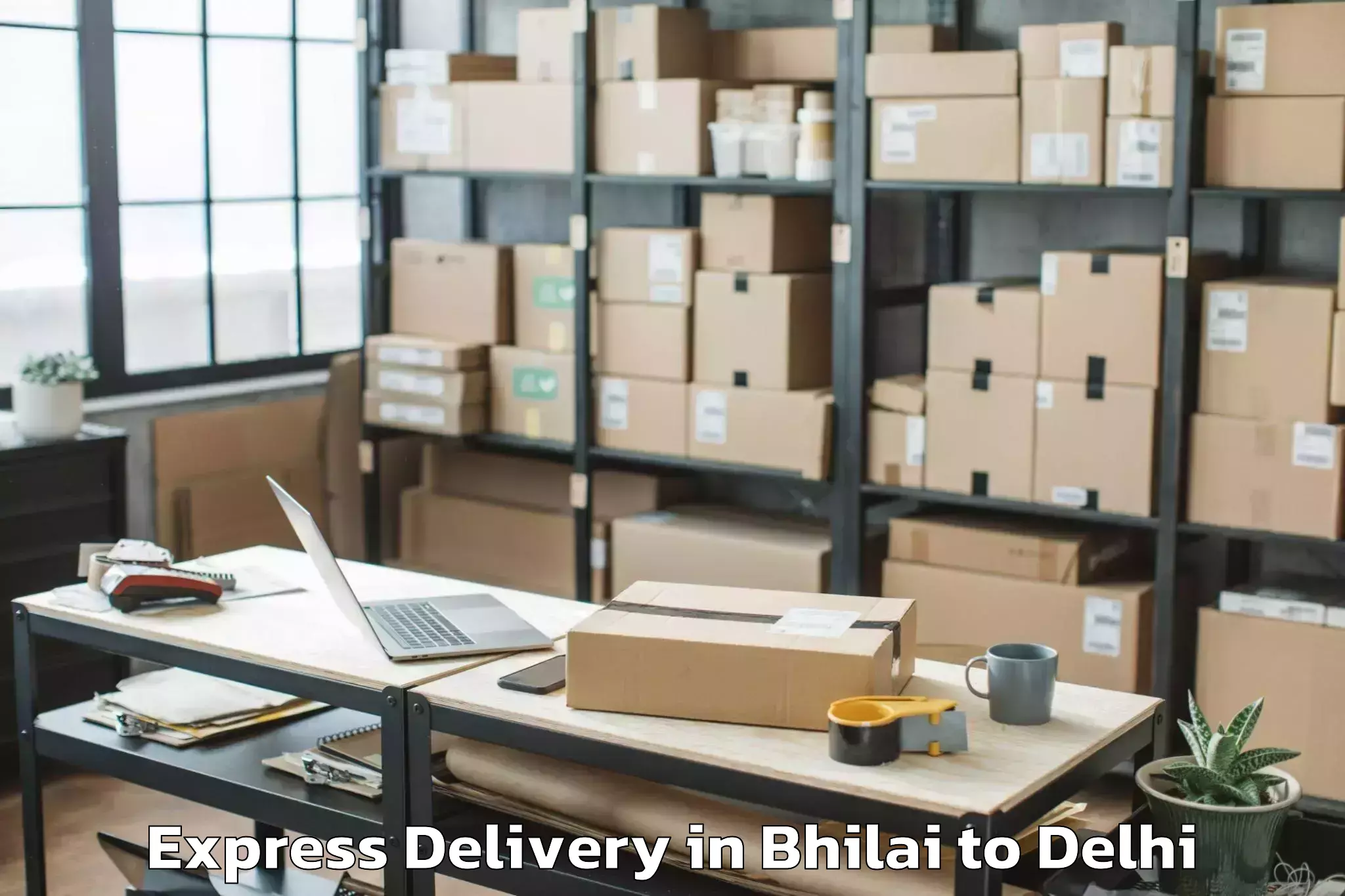 Expert Bhilai to D Mall Pitampura Express Delivery